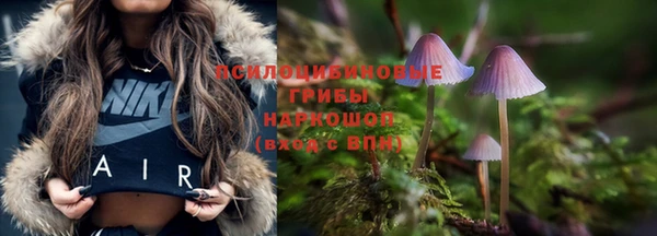 соль ск Липки