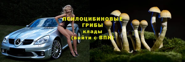 СК Балахна