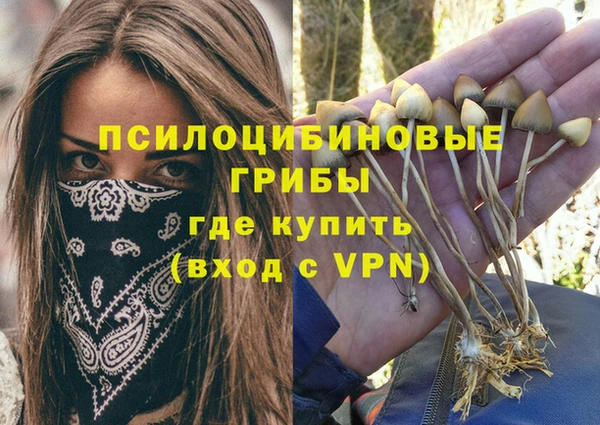 винт Баксан