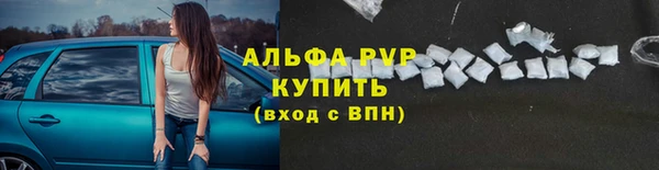СК Балахна