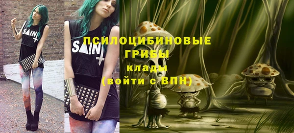 винт Баксан