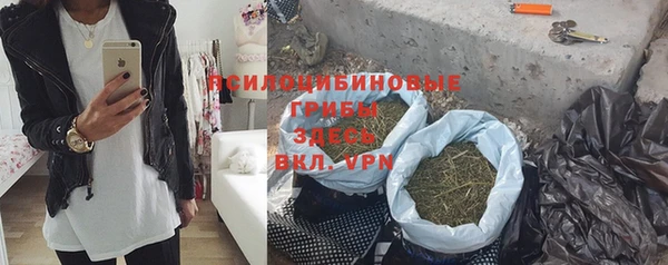 ГАЛЛЮЦИНОГЕННЫЕ ГРИБЫ Балабаново