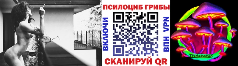 купить Курчатов Псилоцибиновые грибы мицелий